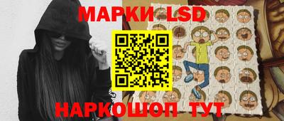 spice Славгород