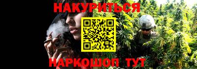 трава Сланцы