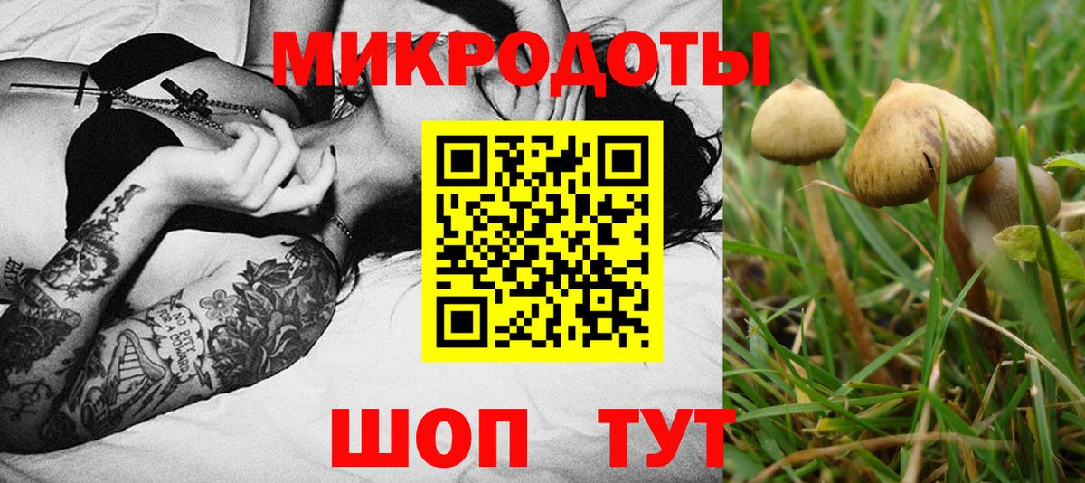 Галлюциногенные грибы ЛСД  Вход с VPN  Орск 