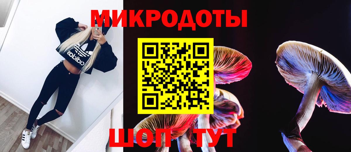 Псилоцибиновые грибы Cubensis Орск